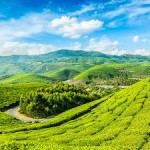 Wayanad Ooty Tour 4N/5D